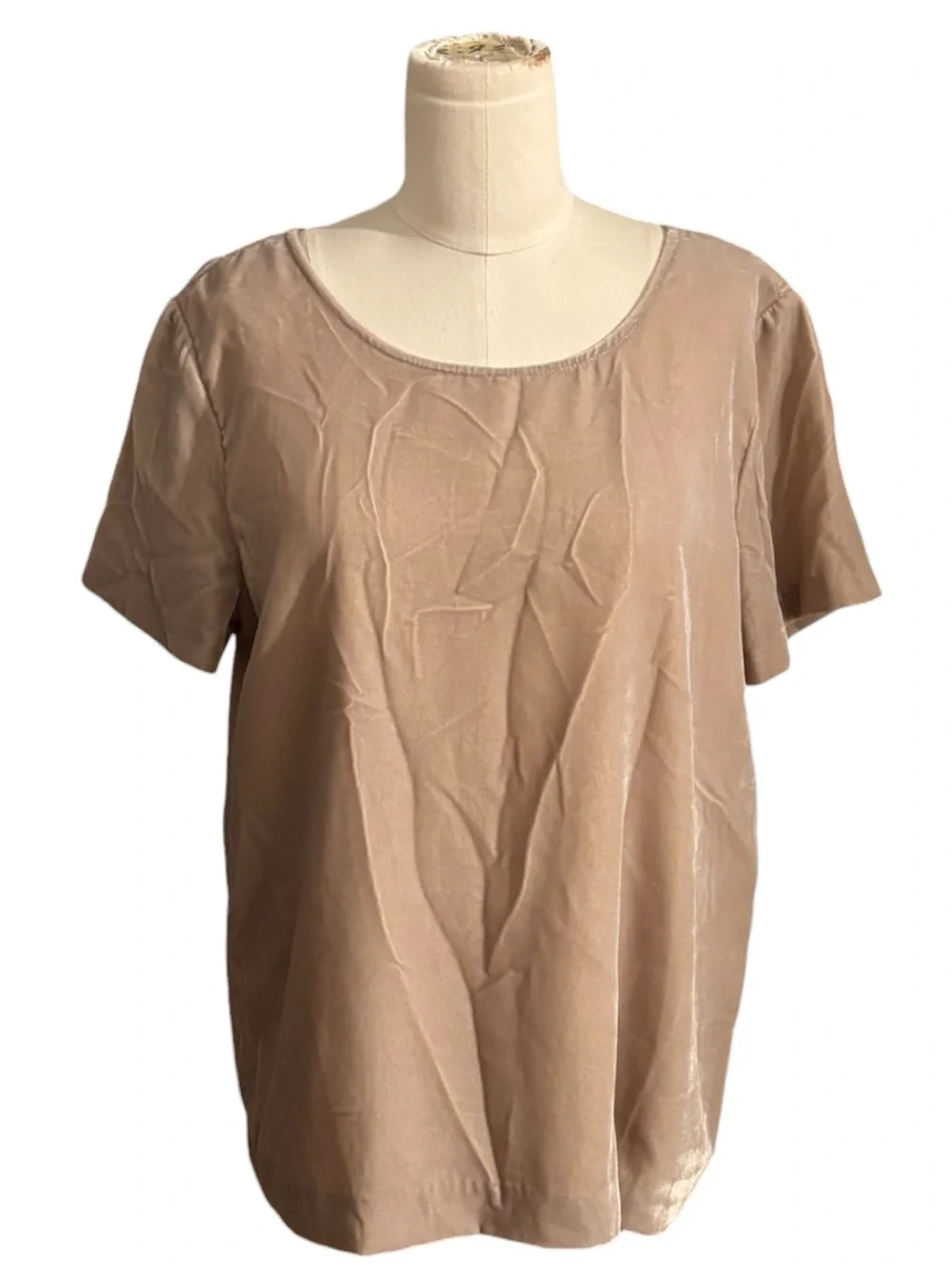 J. Crew Tan Velvet Short Sleeve Blouse